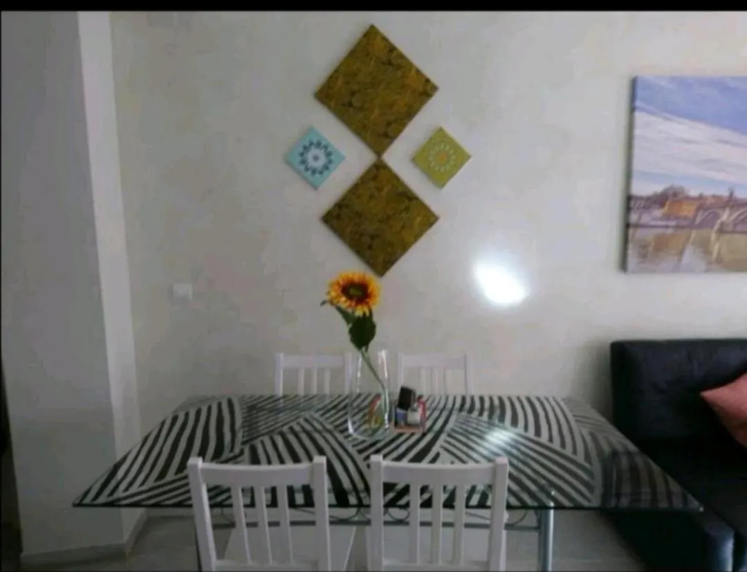 Alfalfa Suites Centro contacts